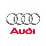 Termostat Audi