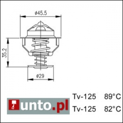 Termostat Peugeot 106 I, 305