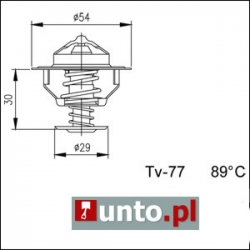 Termostat Peugeot 309